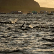 Canoa havaiana Privativa