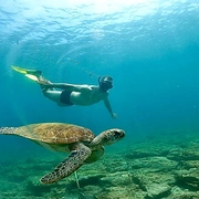 Mergulho livre com fotos subaquáticas